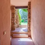 Ribes Ольбія